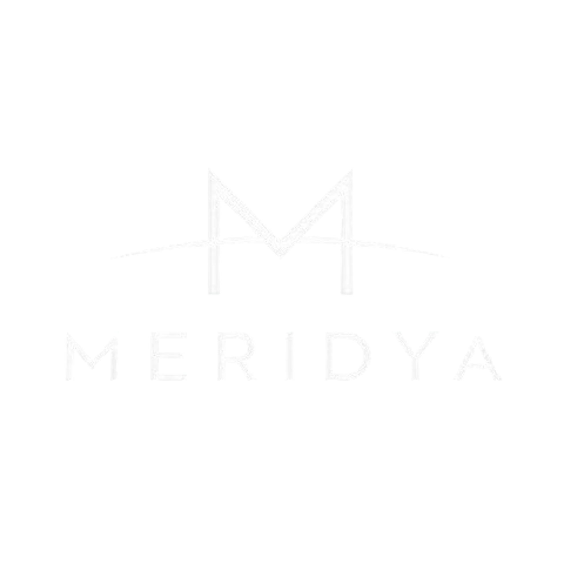 Meridya Global Services